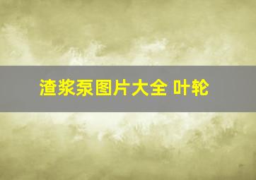 渣浆泵图片大全 叶轮